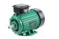 VFD Motor